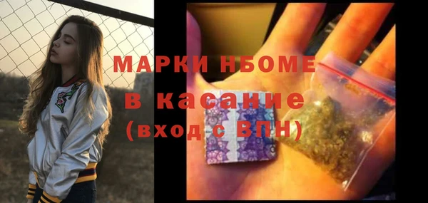 сатива Беломорск