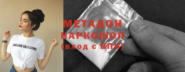 сатива Беломорск