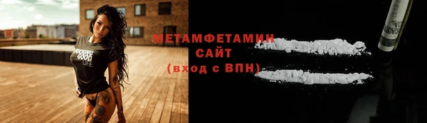 сатива Беломорск