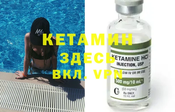 сатива Беломорск