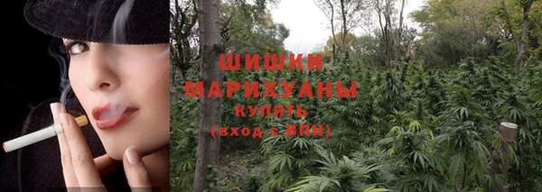 мяу мяу мука Белокуриха