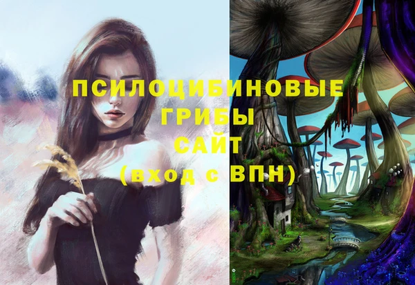 мяу мяу мука Белокуриха