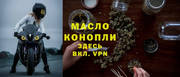 сатива Беломорск