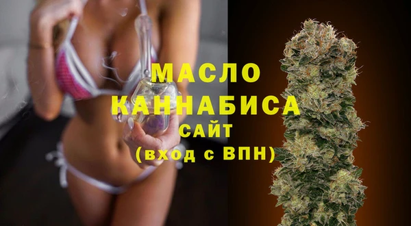 сатива Беломорск