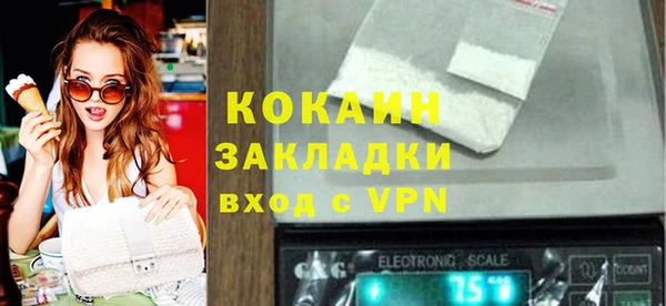 сатива Беломорск